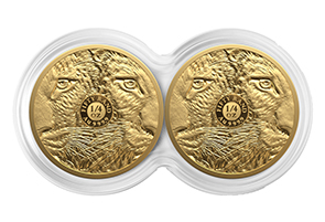 R50 Big 5 Leopard 1oz Gold Proof