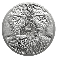 Big 5 Leopard 1oz Silver Ag 999