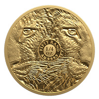 Big5-S3-Qoz-Gold-Leopard-2026-Rev-proof