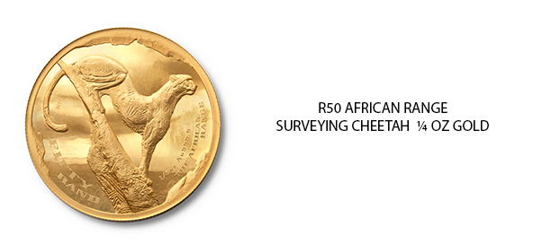 R50 AFRICAN RANGE SURVEYING CHEETAH ¼ OZ GOLD BANNER