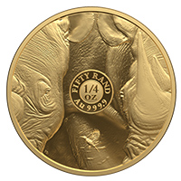 R50 BIG 5 RHINO ¼ OZ GOLD PROOF