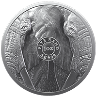 Big 5 Elephant 1oz Silver AG 999