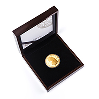 SA-Mint-TAR-2026-Surveying-Cheetah-1kg-5oz-Gold-Obverse