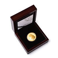 SA-Mint-TAR-2026-Surveying-Cheetah-1oz-Gold-Obverse