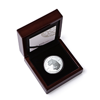 SA-Mint-TAR-2026-Surveying-Cheetah-2oz-Silver-Obverse
