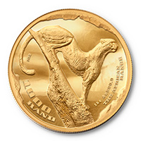 R1000 AFRICAN RANGE SURVEYING CHEETAH 1 KG GOLD