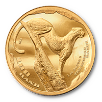 R100 AFRICAN RANGE SURVEYING CHEETAH 1 OZ GOLD