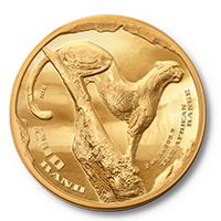 R200 AFRICAN RANGE SURVEYING CHEETAH 2OZ GOLD