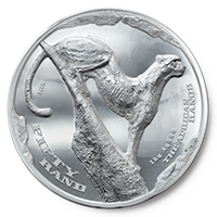 R50 AFRICAN RANGE CHEETAH 1 KG SILVER
