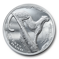 R20 AFRICAN RANGE SURVEYING CHEETAH 5 OZ SILVER