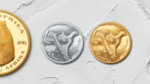 The African Range Gold and Silver